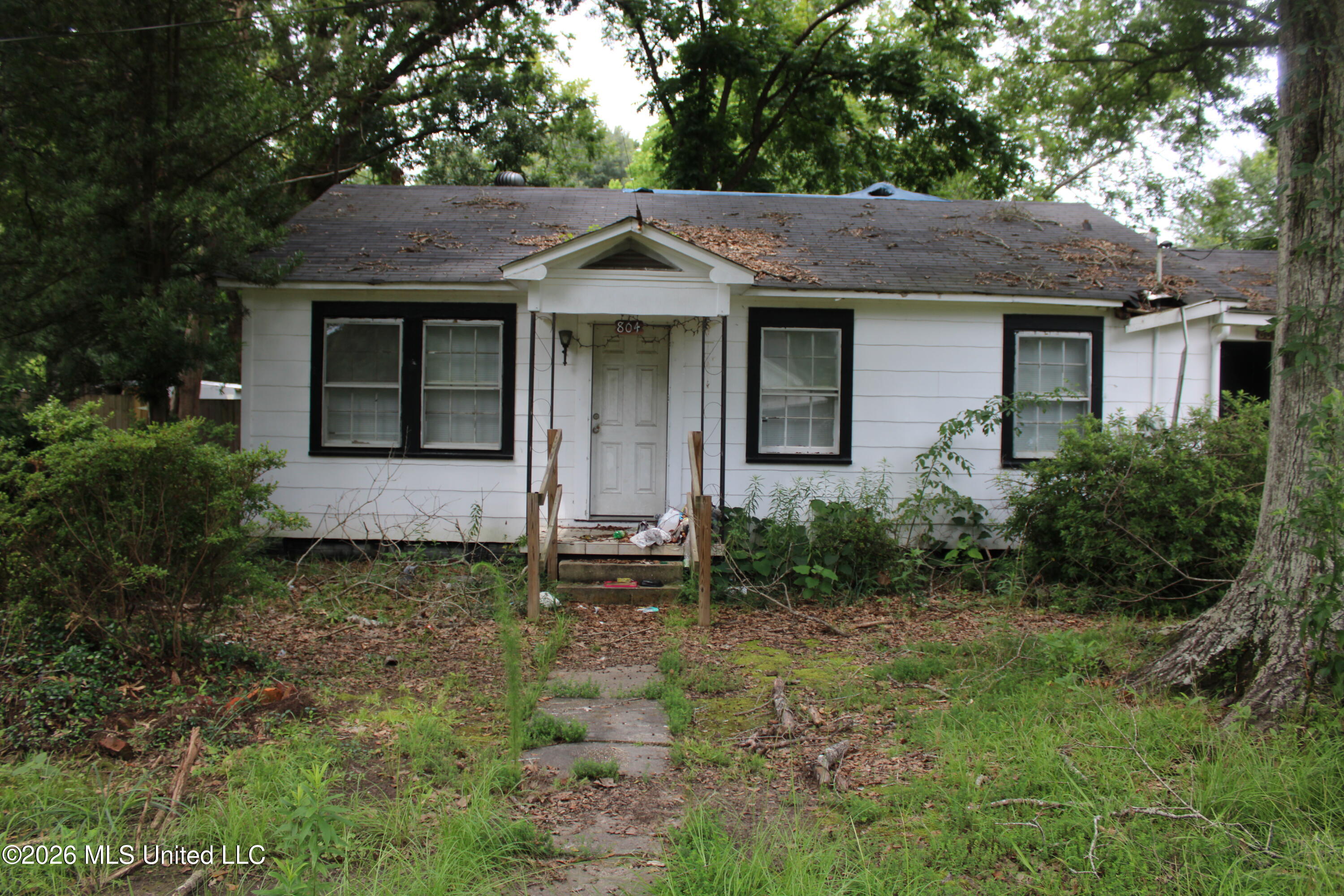 804 Lafayette Street Prentiss, MS 39474 - Photo 1 of 10 IMG_1054