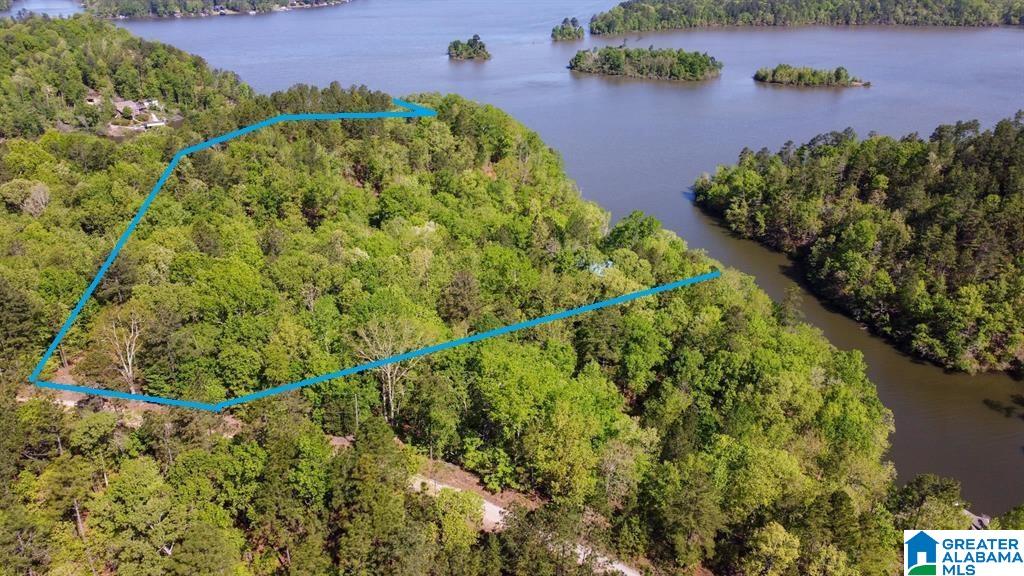 517 Indian Springs Road Rockford, AL 35136 - Photo 30 of 39
