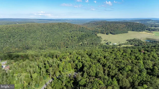a view of a city and mountains in the background