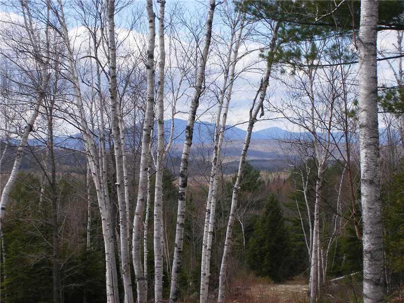 Lot 13 Anson Valley Road New Vineyard, ME 04956 - Photo 1 of 5 View. Nice building site with gravel...