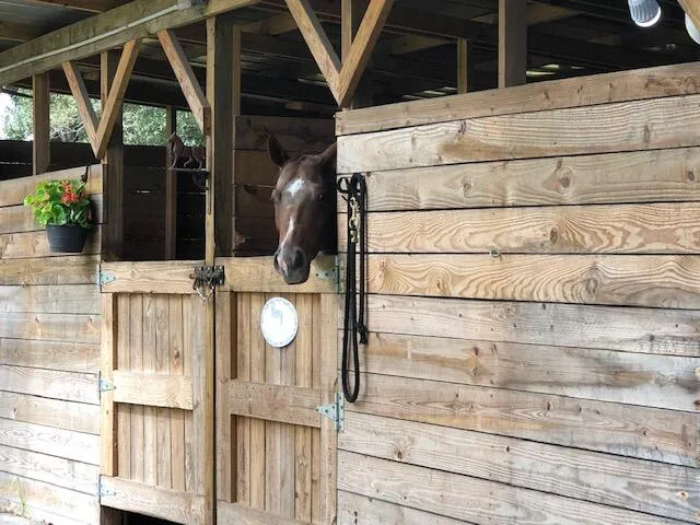 a view of walk in entryway