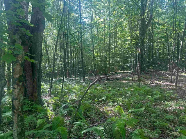 $150,000 | 0 Helvi Hill Road, Rutland, VT 05701