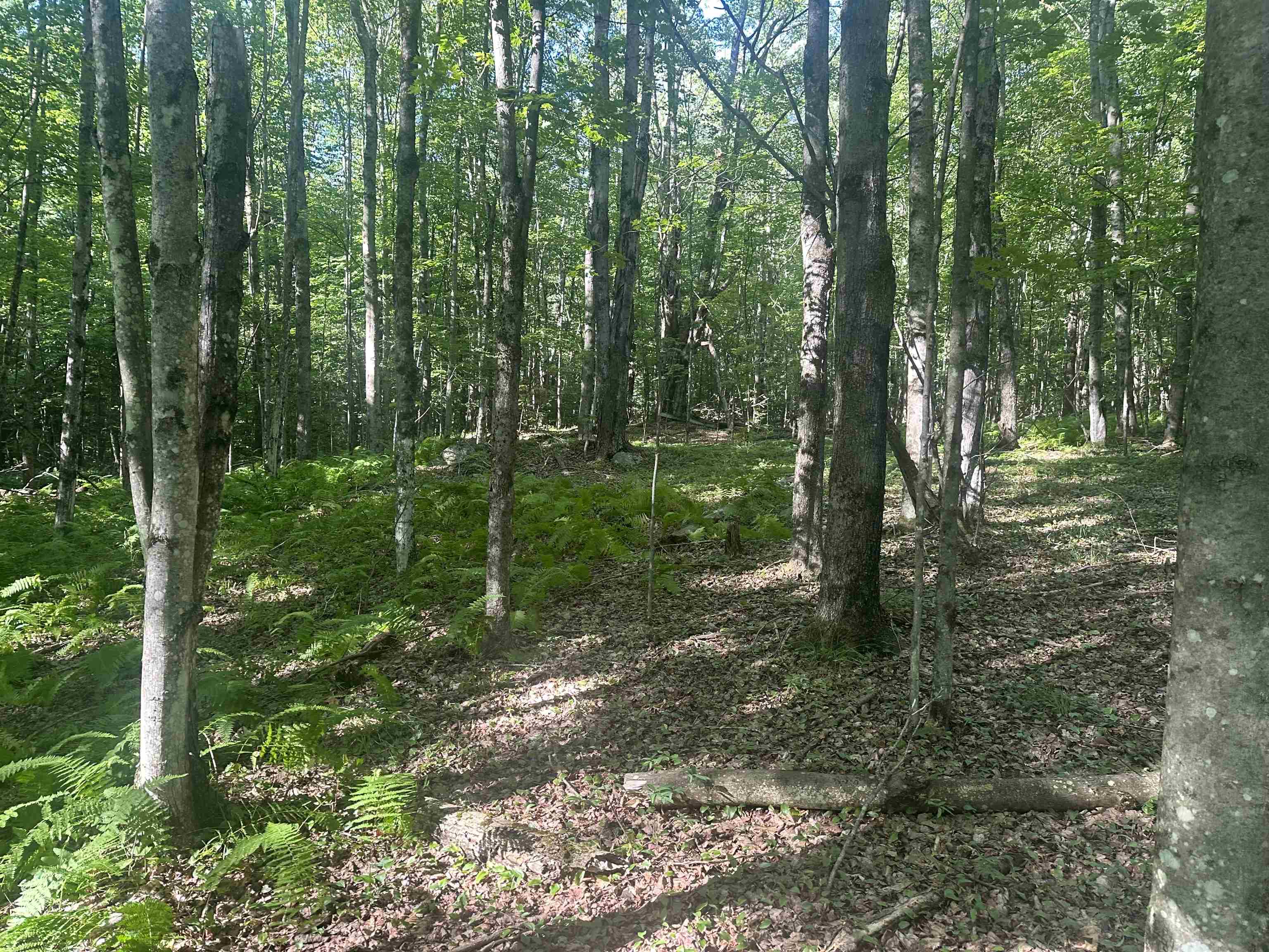 0 Helvi Hill Road Rutland, VT 05701 - Photo 2 of 11