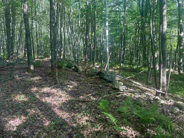 $150,000 | 0 Helvi Hill Road, Rutland, VT 05701