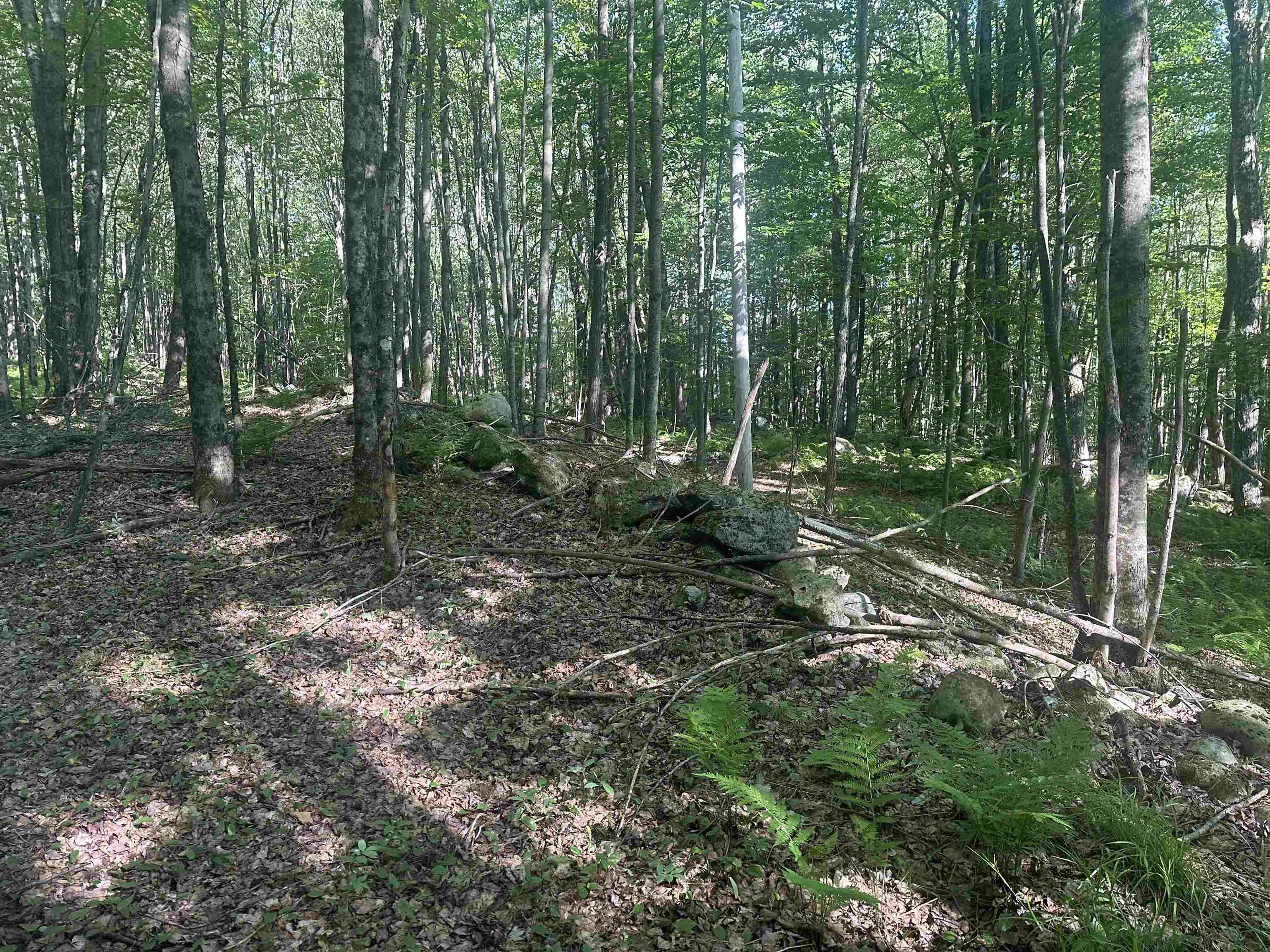 0 Helvi Hill Road Rutland, VT 05701 - Photo 3 of 11