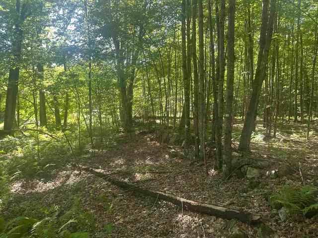 $150,000 | 0 Helvi Hill Road, Rutland, VT 05701