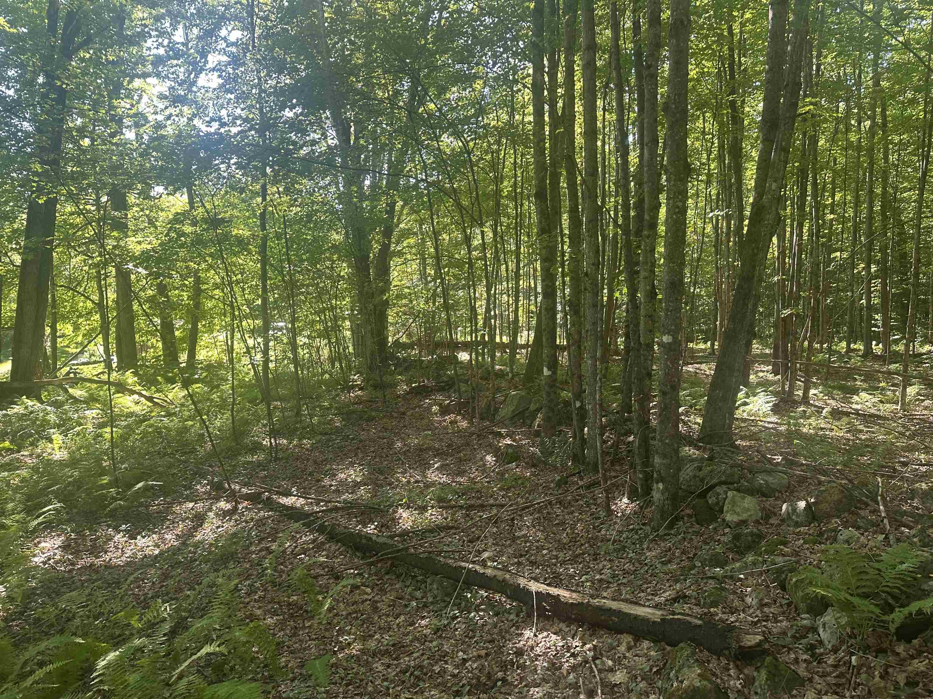 0 Helvi Hill Road Rutland, VT 05701 - Photo 4 of 11