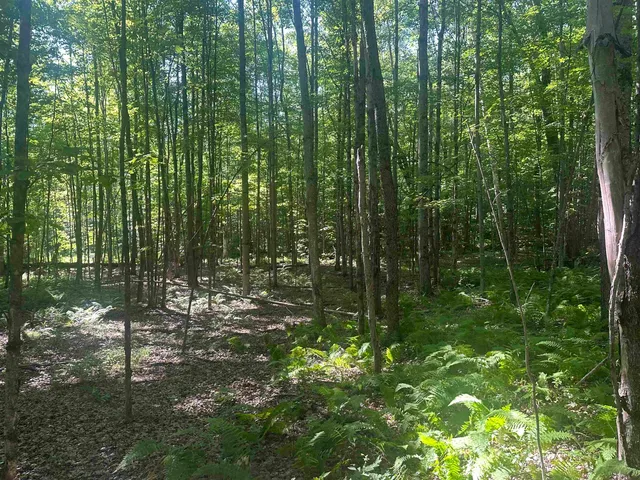 $150,000 | 0 Helvi Hill Road, Rutland, VT 05701