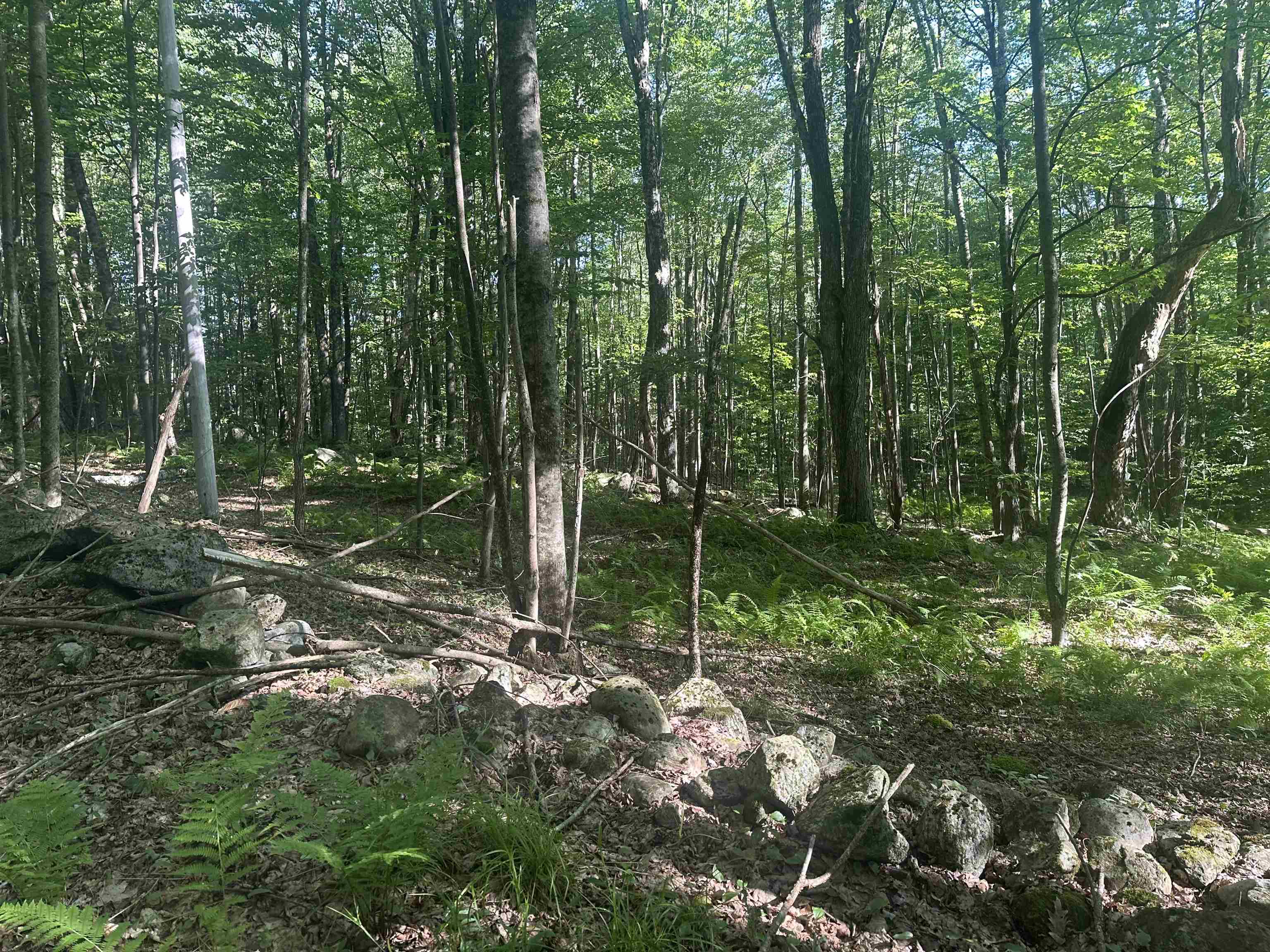 0 Helvi Hill Road Rutland, VT 05701 - Photo 6 of 11