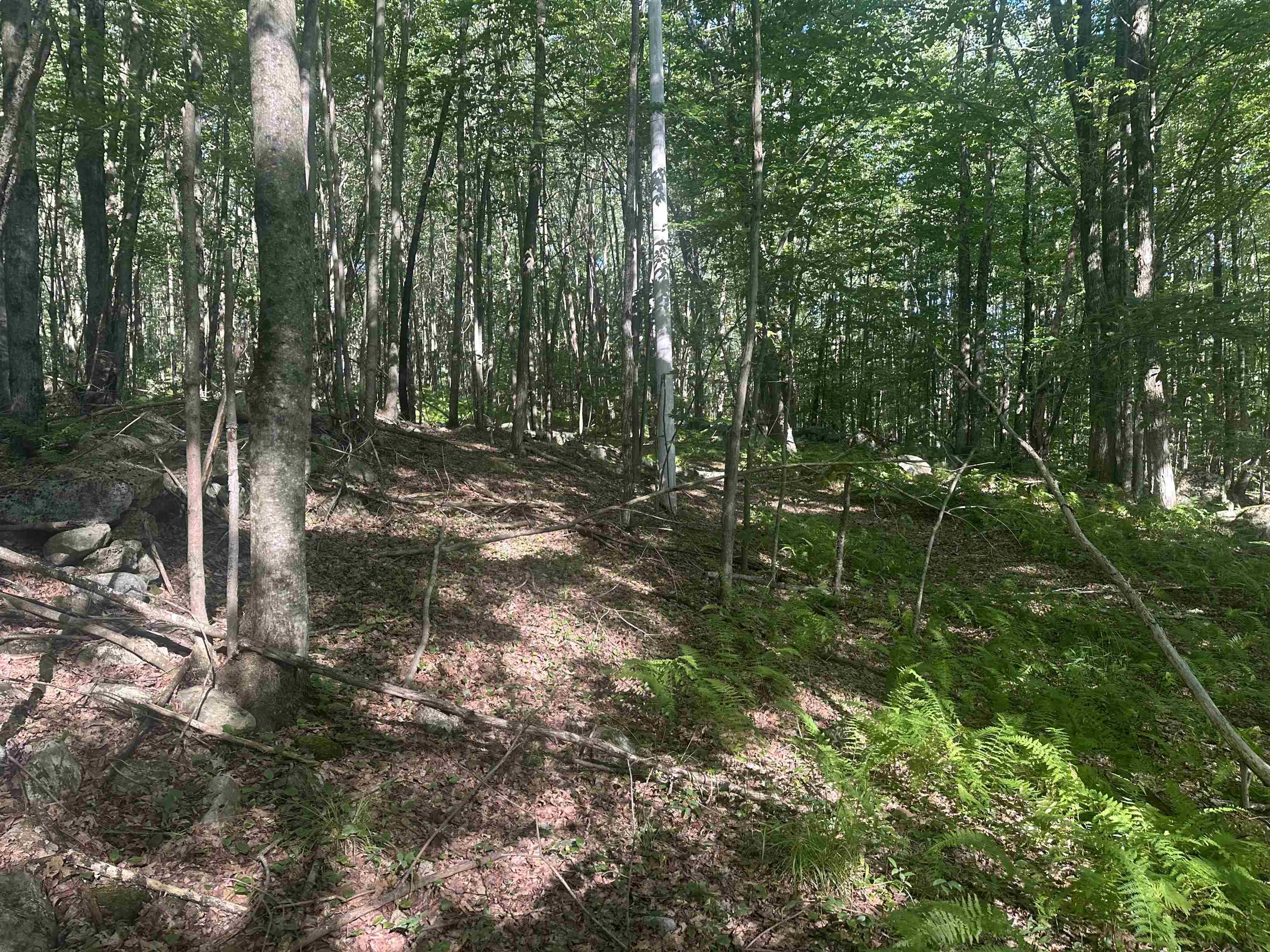 0 Helvi Hill Road Rutland, VT 05701 - Photo 7 of 11