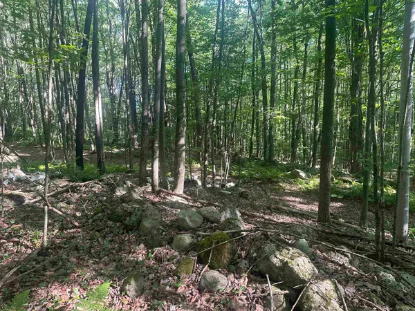 $150,000 | 0 Helvi Hill Road, Killington, VT 05751
