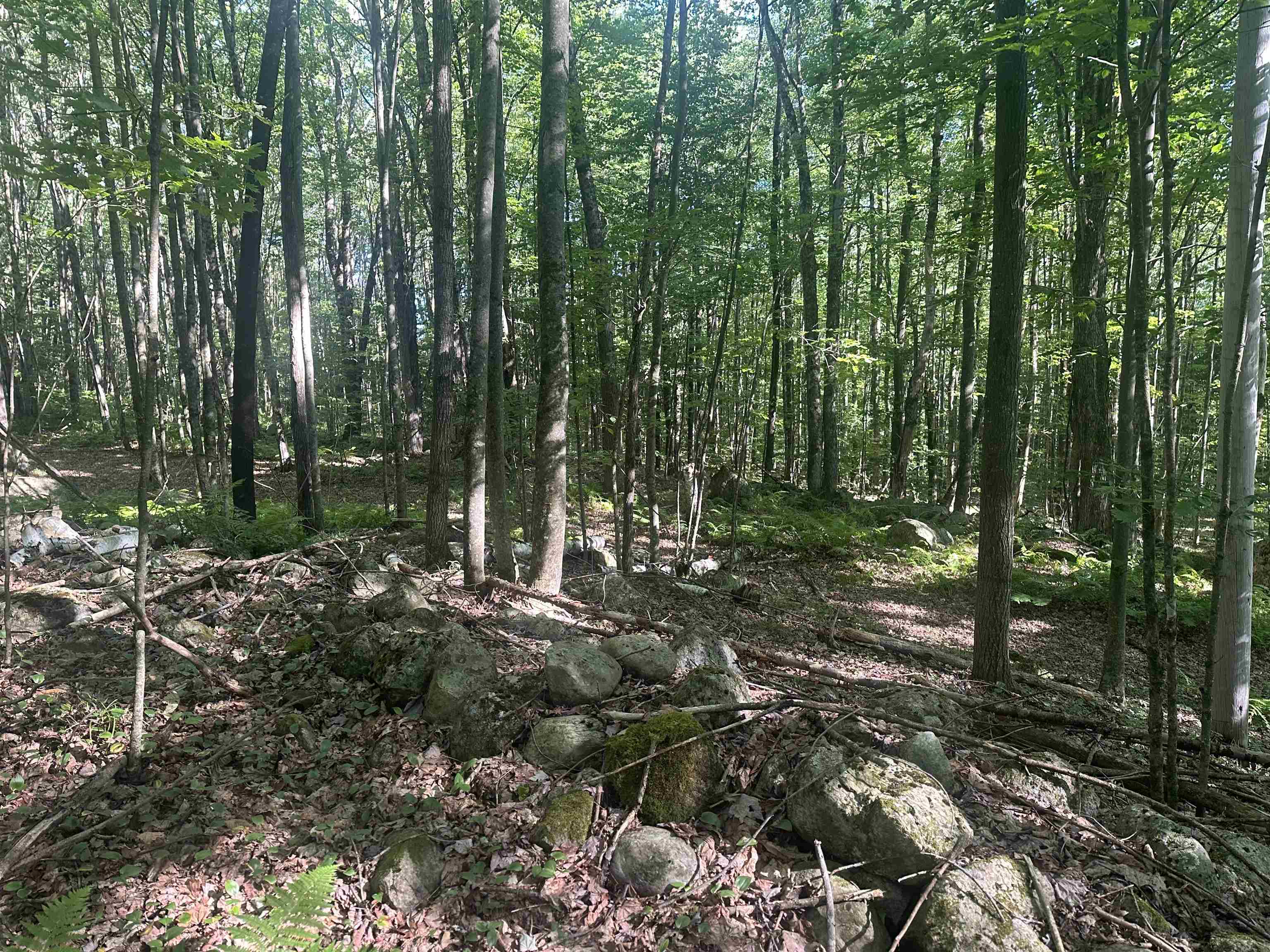 0 Helvi Hill Road Rutland, VT 05701 - Photo 8 of 11