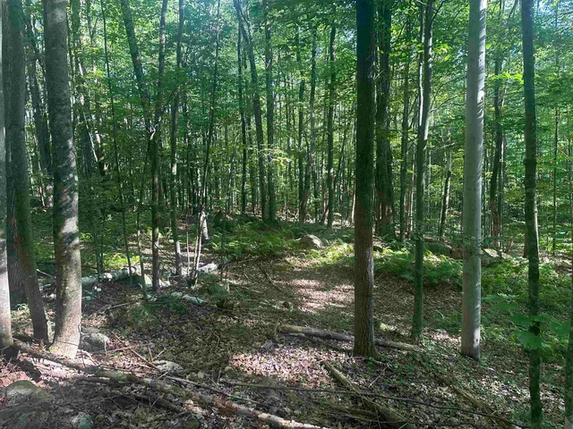 $150,000 | 0 Helvi Hill Road, Rutland, VT 05701