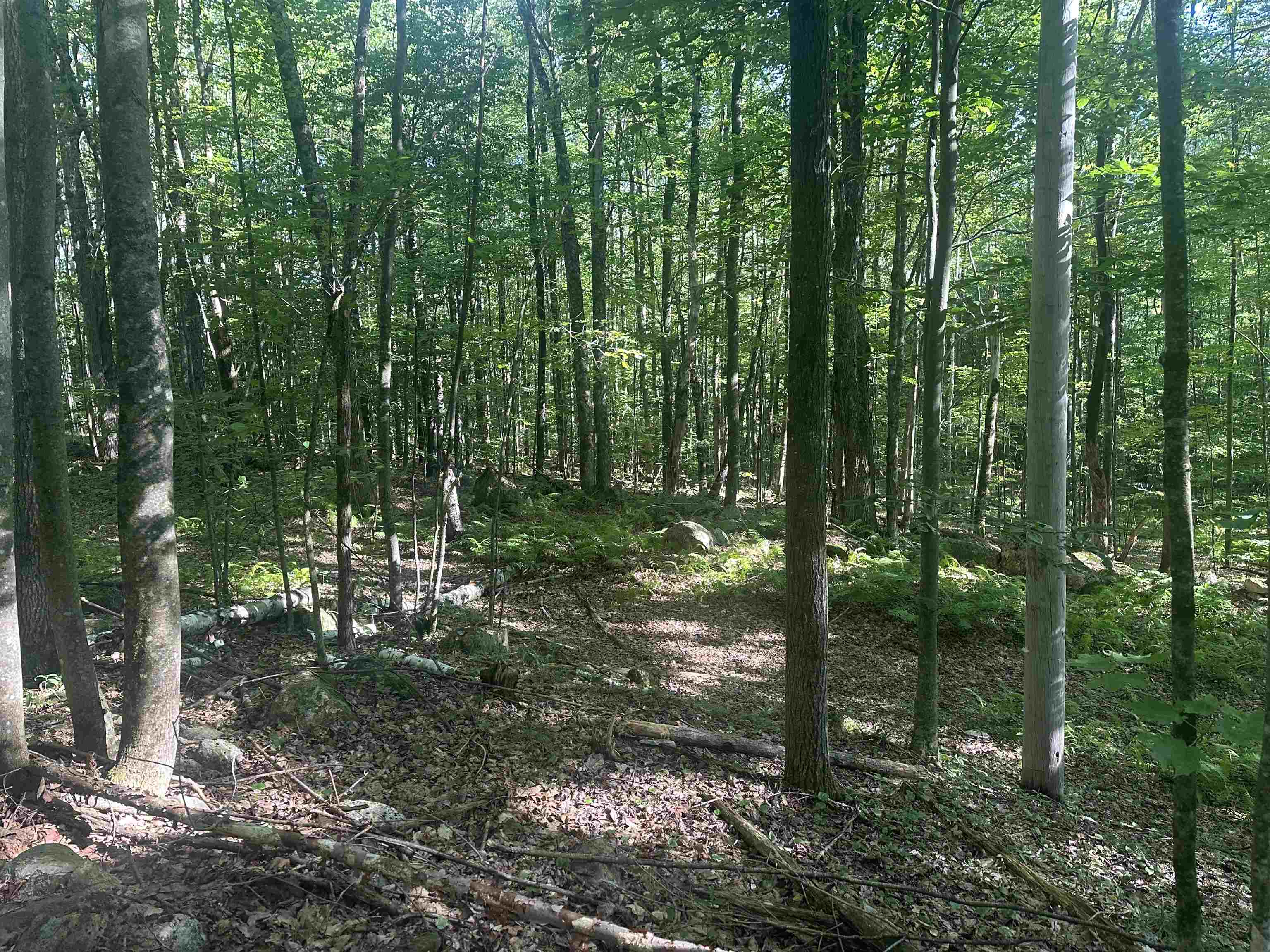 0 Helvi Hill Road Rutland, VT 05701 - Photo 9 of 11