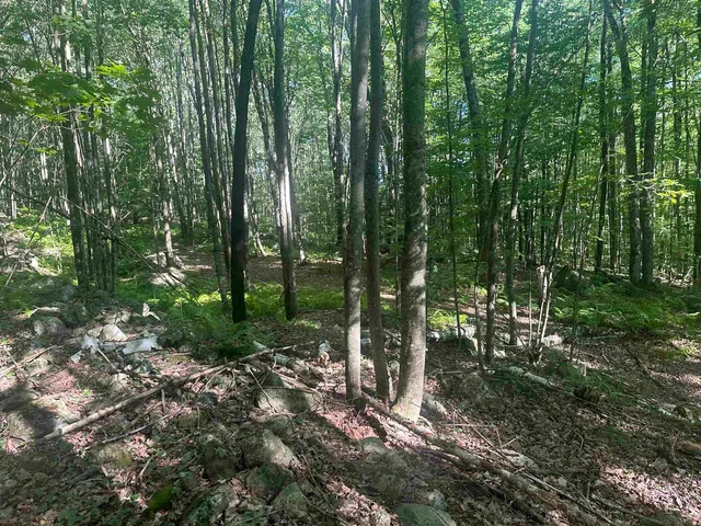 $150,000 | 0 Helvi Hill Road, Rutland, VT 05701