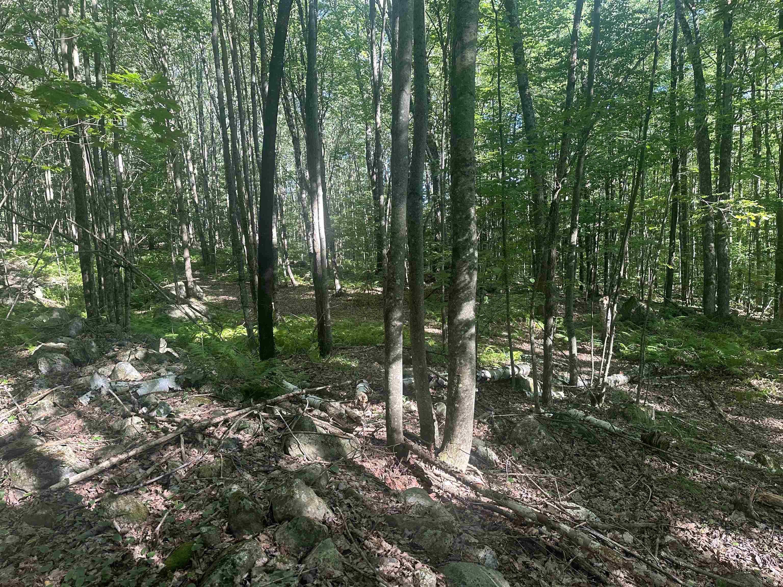 0 Helvi Hill Road Rutland, VT 05701 - Photo 10 of 11