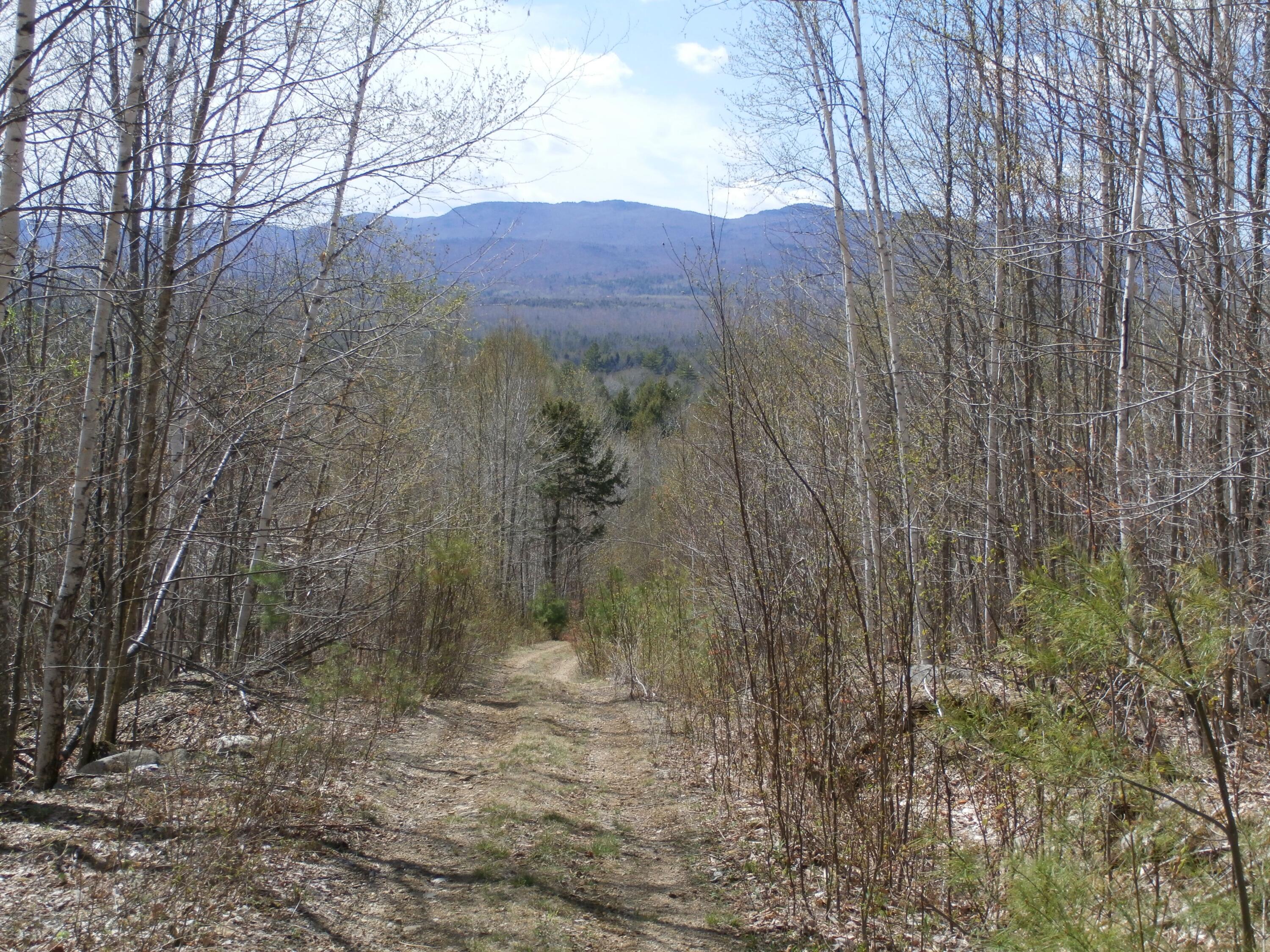 9 Green Acres Road Carthage, ME 04224 - Photo 12 of 16 P5020859