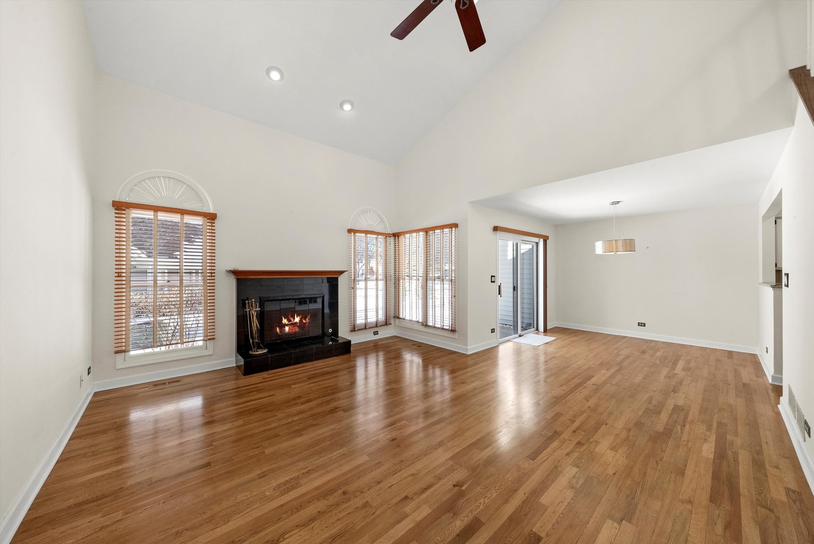 289 Ripplebrook Court Schaumburg, IL 60173 - Photo 15 of 31 an empty room with windows fireplace and wooden floor