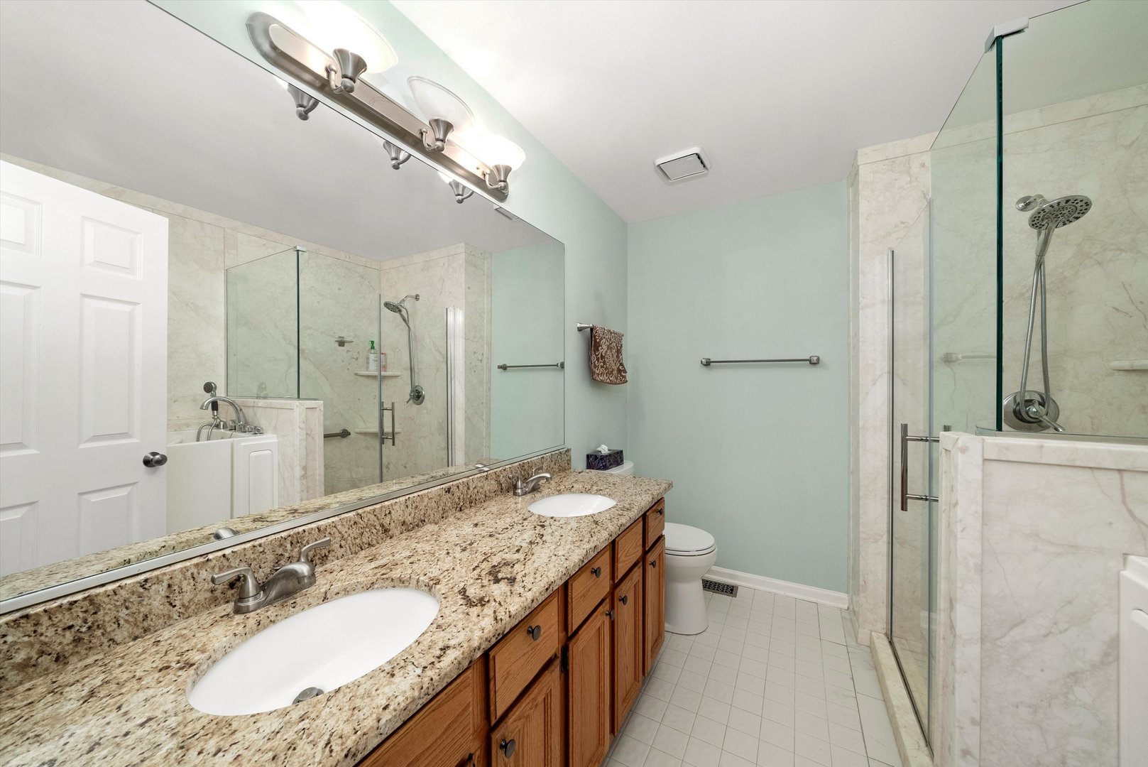 289 Ripplebrook Court Schaumburg, IL 60173 - Photo 21 of 31 a bathroom with a granite countertop double vanity sink mirror and shower