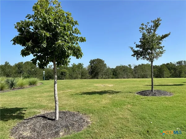 a view of a garden with a slide