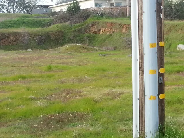a black and white photo of a large building