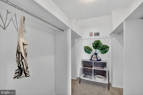 a view of a hallway with wooden floor and a potted plant