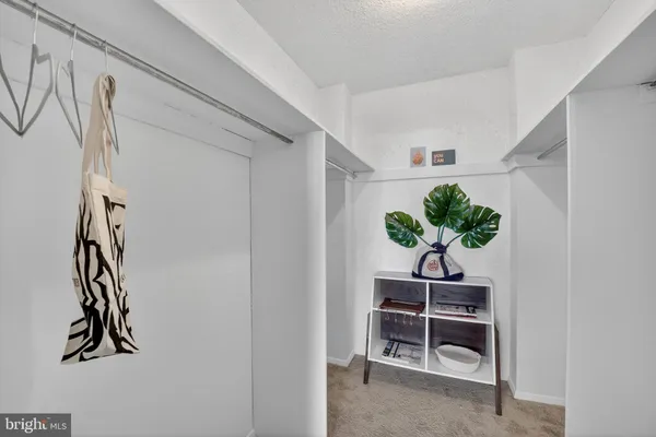 a view of a hallway with wooden floor and a potted plant