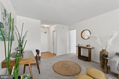 a living room with furniture potted plant and a mirror