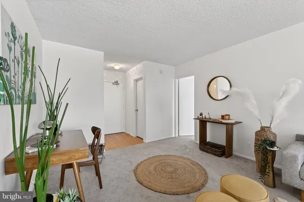 a living room with furniture potted plant and a mirror