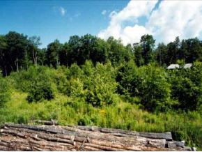 107 Raymond Road Chester, NH 03036 - Photo 5 of 5