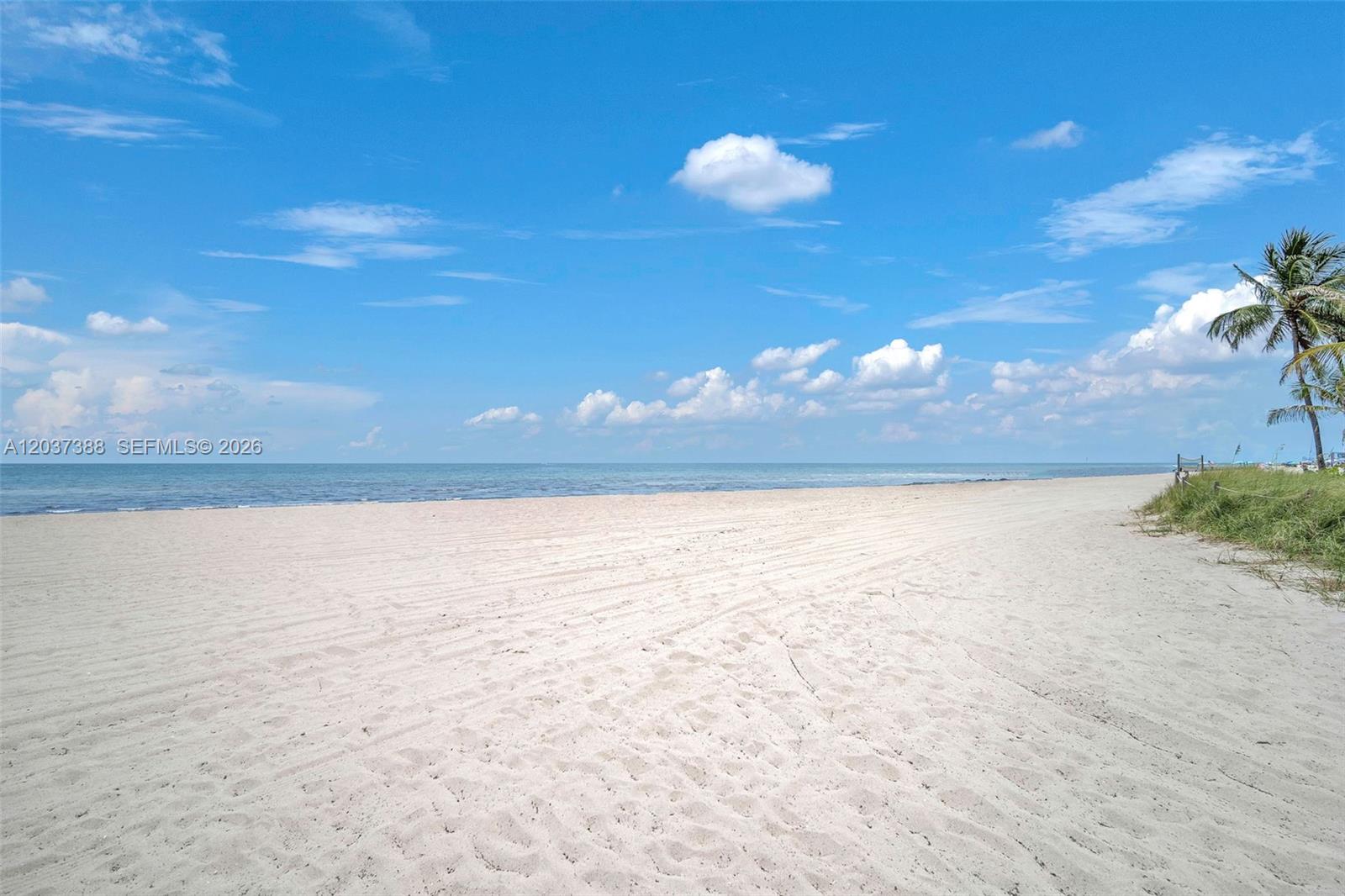 901 South Surf Road, Unit 506 Hollywood, FL 33019 - Photo 33 of 36 Beachfront 2