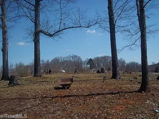6624 Brantley Gordon Road Denton, NC 27239 - Photo 16 of 16 Yard/Garden.