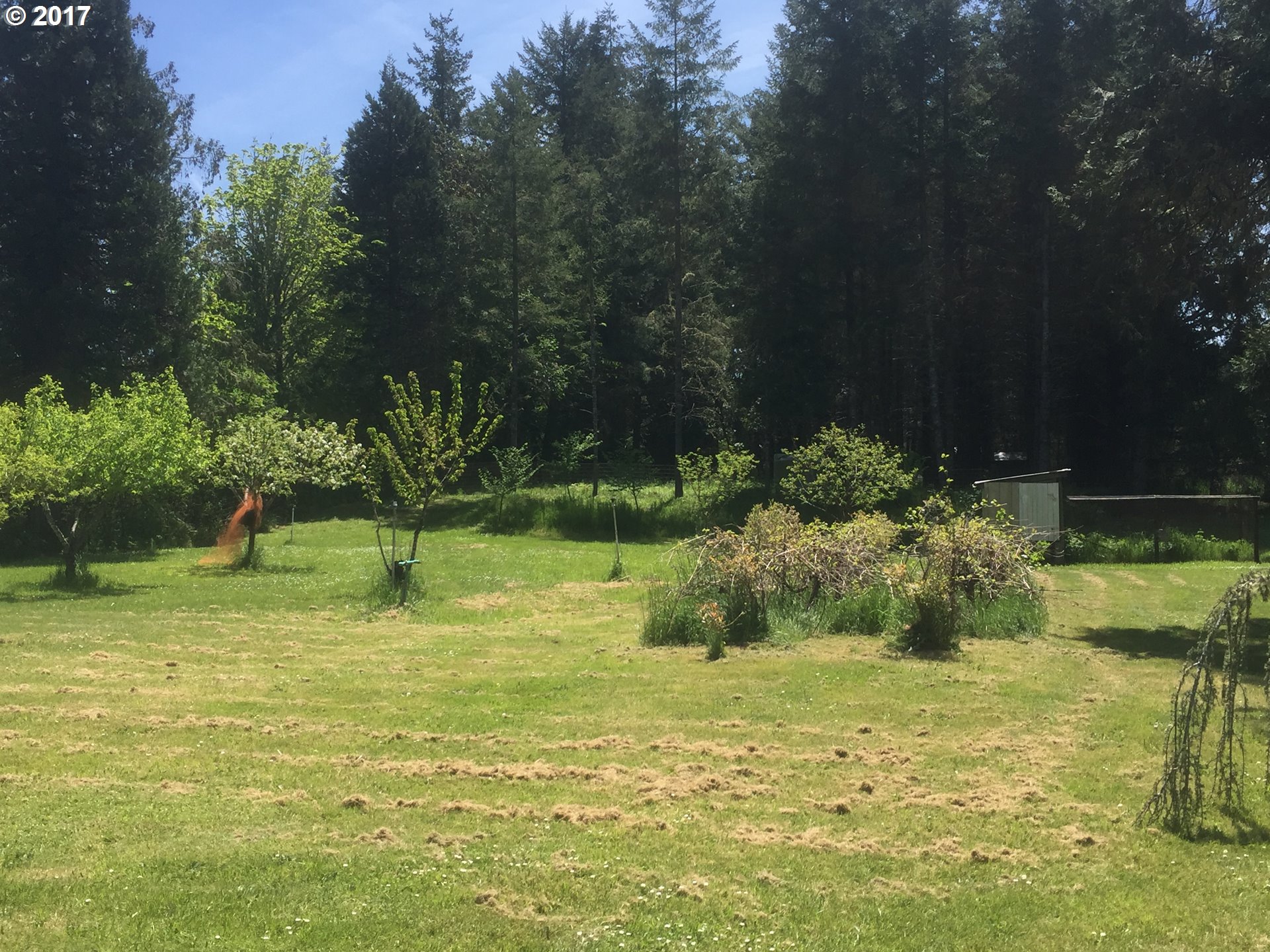 72227 Rouse Road North Cottage Grove, OR 97424 - Photo 4 of 24 a view of a garden with a slide