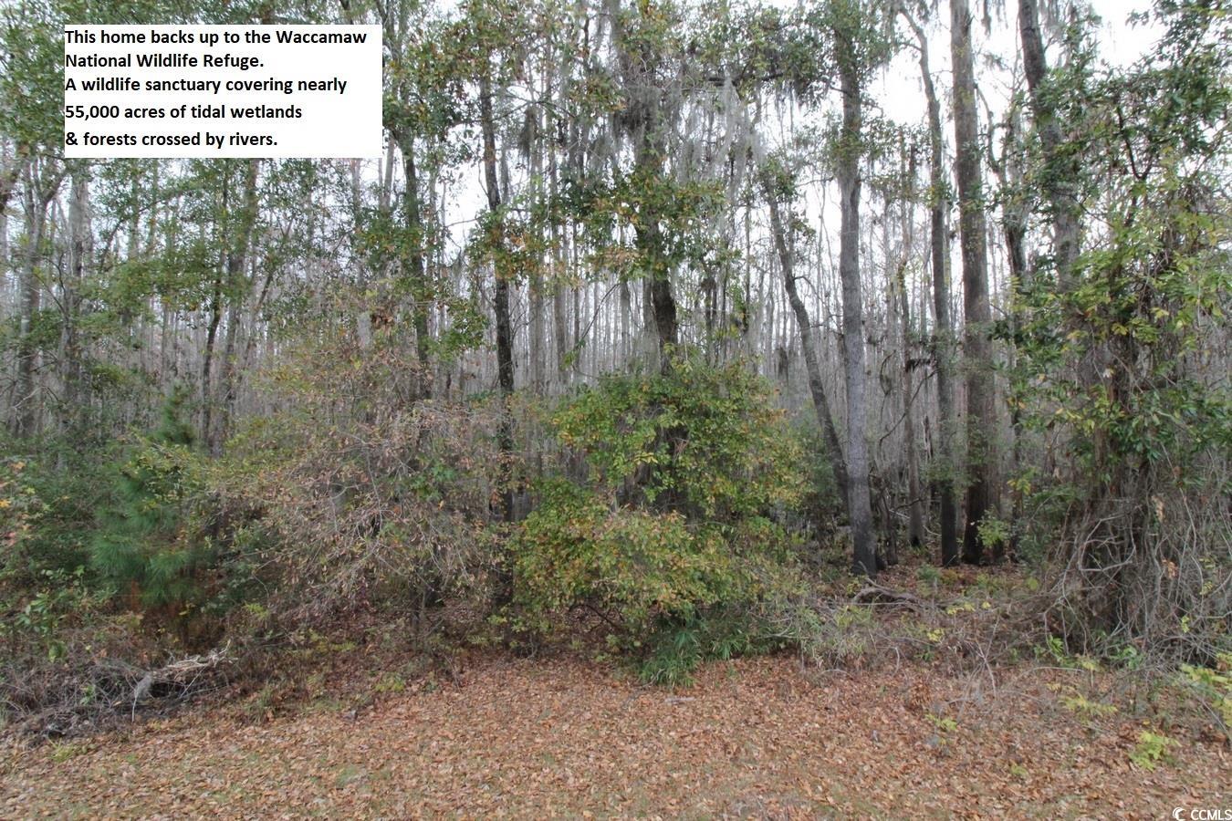 1514 St George Lane Myrtle Beach, SC 29588 - Photo 28 of 40