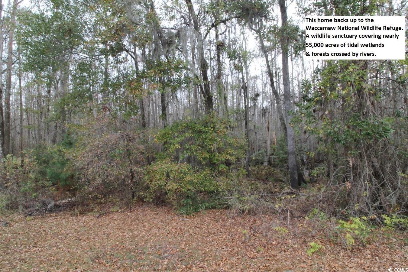 1514 St George Lane Myrtle Beach, SC 29588 - Photo 29 of 40