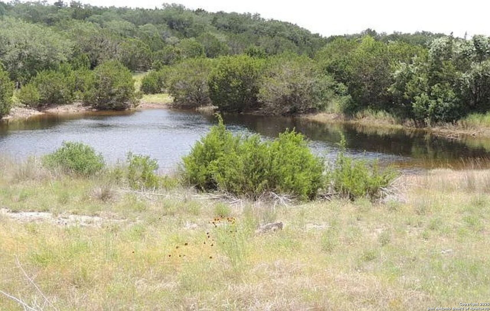 1119 Sunrise Place Spring Branch, TX 78070 - Photo 38 of 53 a view of a lake with mountain