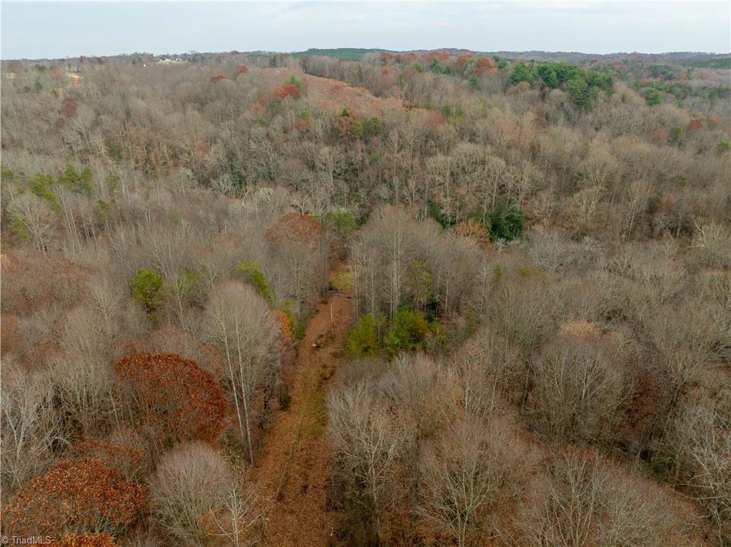 0 Rooley Lane Dobson, NC 27017 - Photo 12 of 47