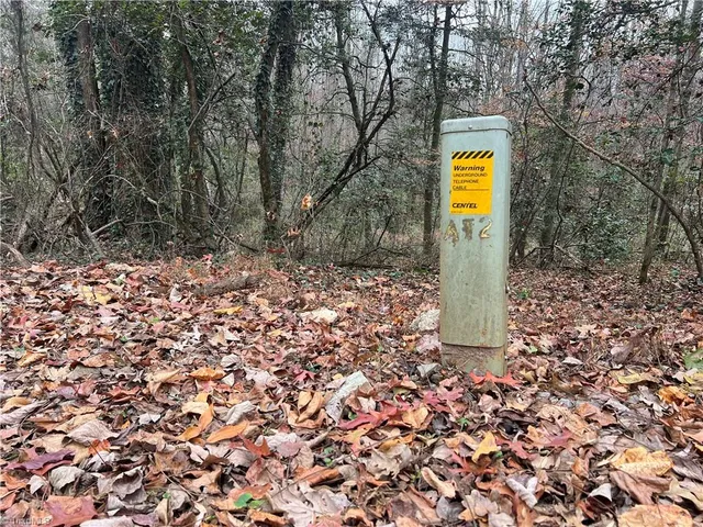 $199,000 | 0 Rooley Lane, Dobson, NC 27017