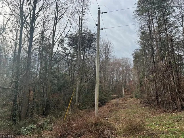 $199,000 | 0 Rooley Lane, Dobson, NC 27017