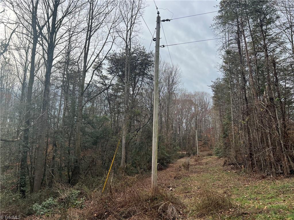 0 Rooley Lane Dobson, NC 27017 - Photo 35 of 47