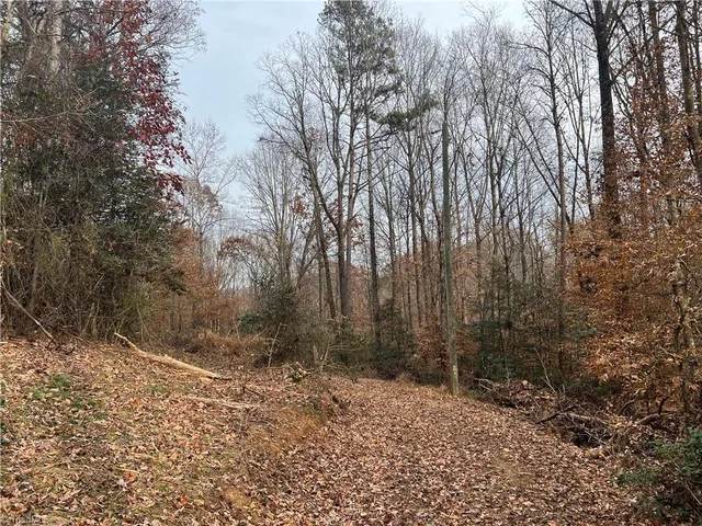 $199,000 | 0 Rooley Lane, Dobson, NC 27017