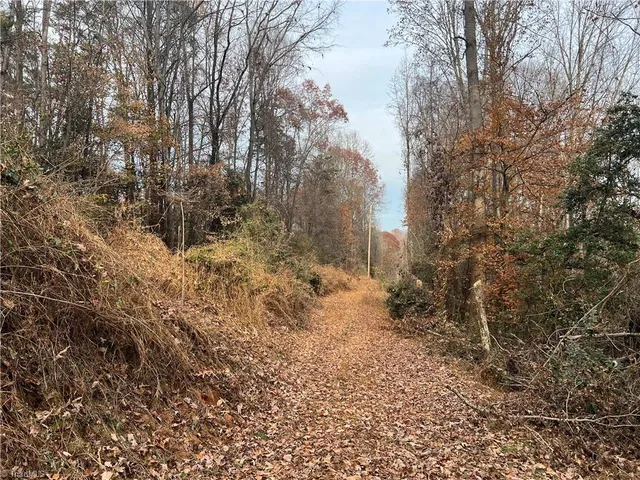 $199,000 | 0 Rooley Lane, Dobson, NC 27017