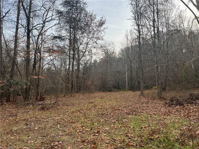 $199,000 | 0 Rooley Lane, Dobson, NC 27017
