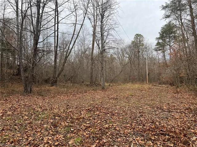 $199,000 | 0 Rooley Lane, Dobson, NC 27017