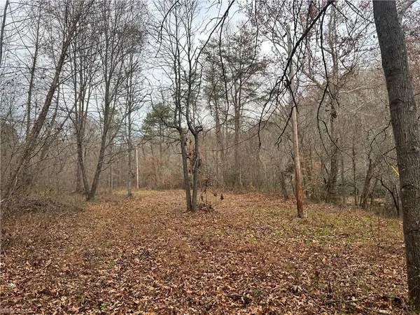 $175,000 | 0 Rooley Lane, Dobson, NC 27017