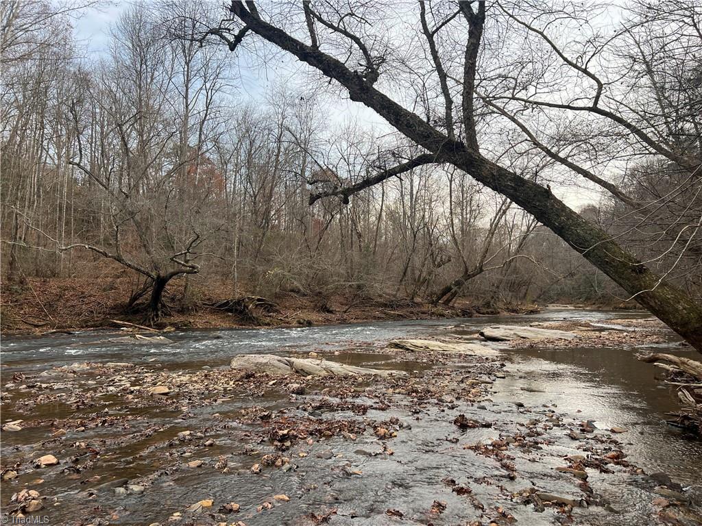 0 Rooley Lane Dobson, NC 27017 - Photo 46 of 47