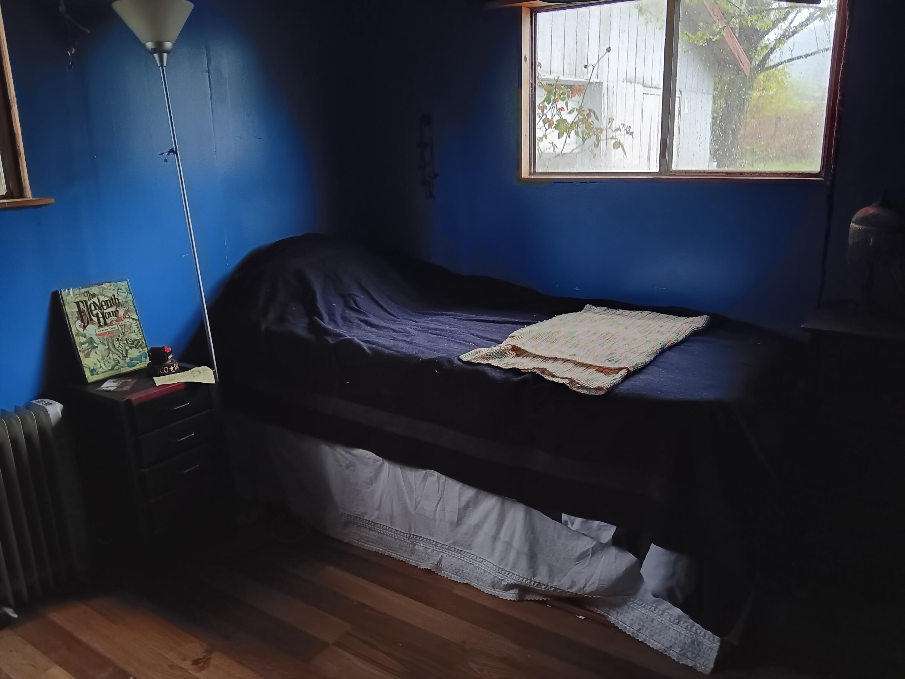 1000 Lighthouse Road Petrolia, CA 95558 - Photo 25 of 44 TrailerBedroom3