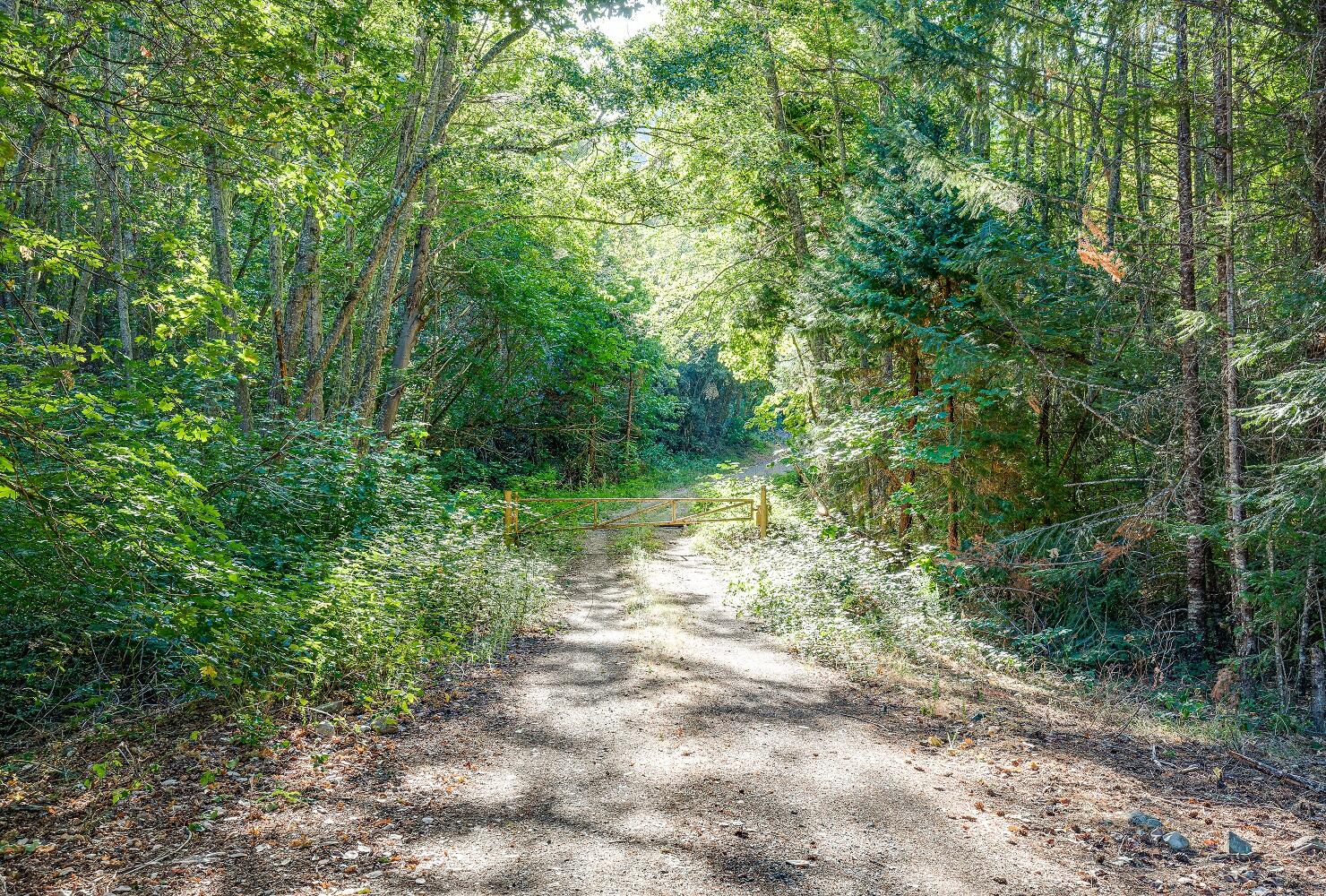 0 Thompson Creek Road Jacksonville, OR 97530 - Photo 4 of 17 Ninemile 5