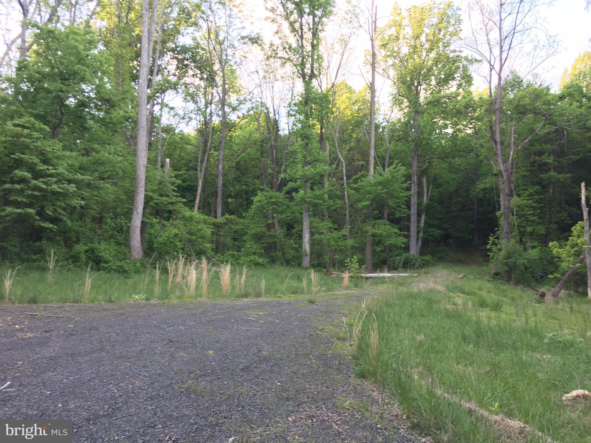 0 Old Bust Head Road Broad Run, VA 20137 - Photo 1 of 29 View