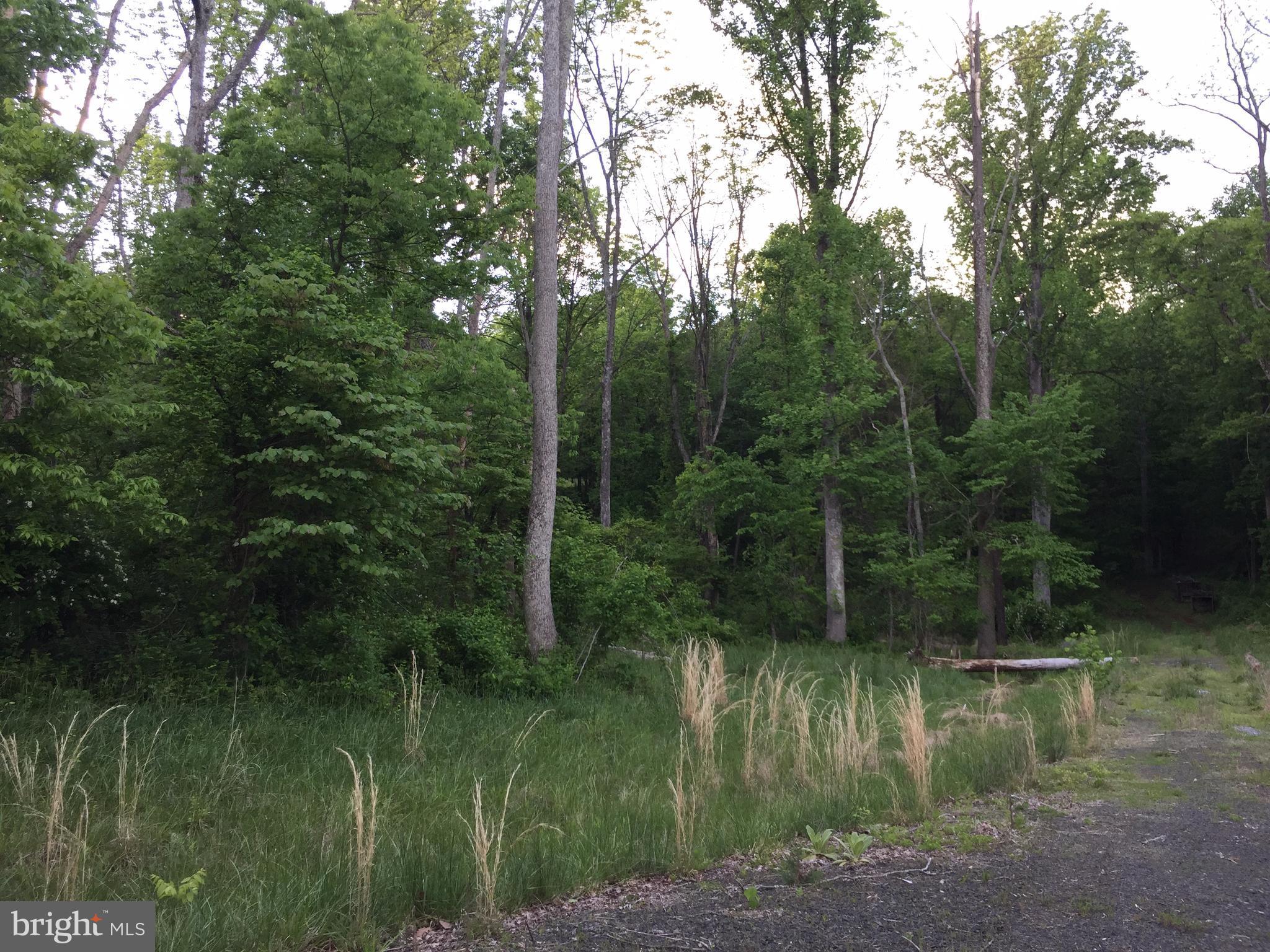 0 Old Bust Head Road Broad Run, VA 20137 - Photo 2 of 29 View